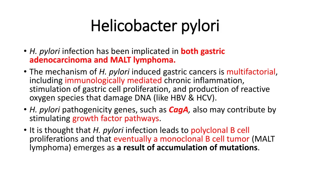 helicobacter pylori helicobacter pylori