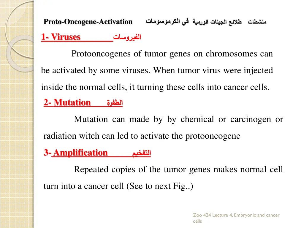 slide15