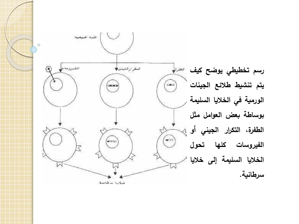 slide16