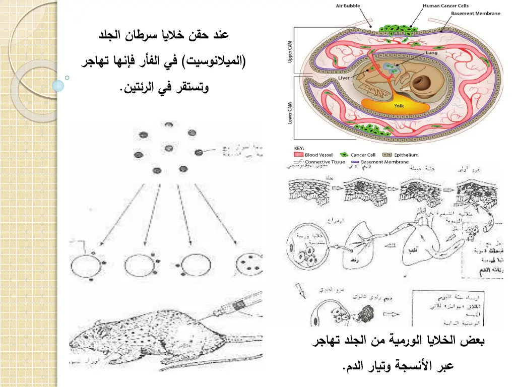 slide21