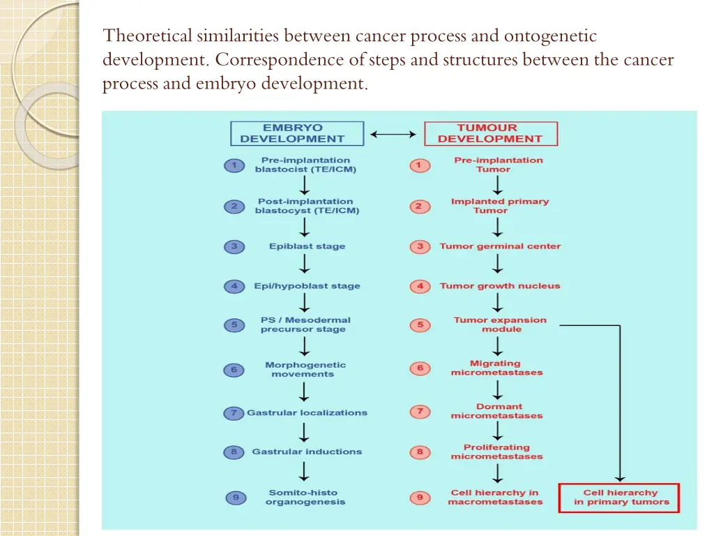 theoretical similarities between cancer process