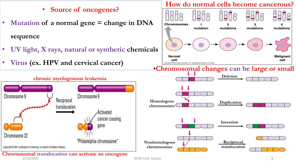 how do normal cells become cancerous