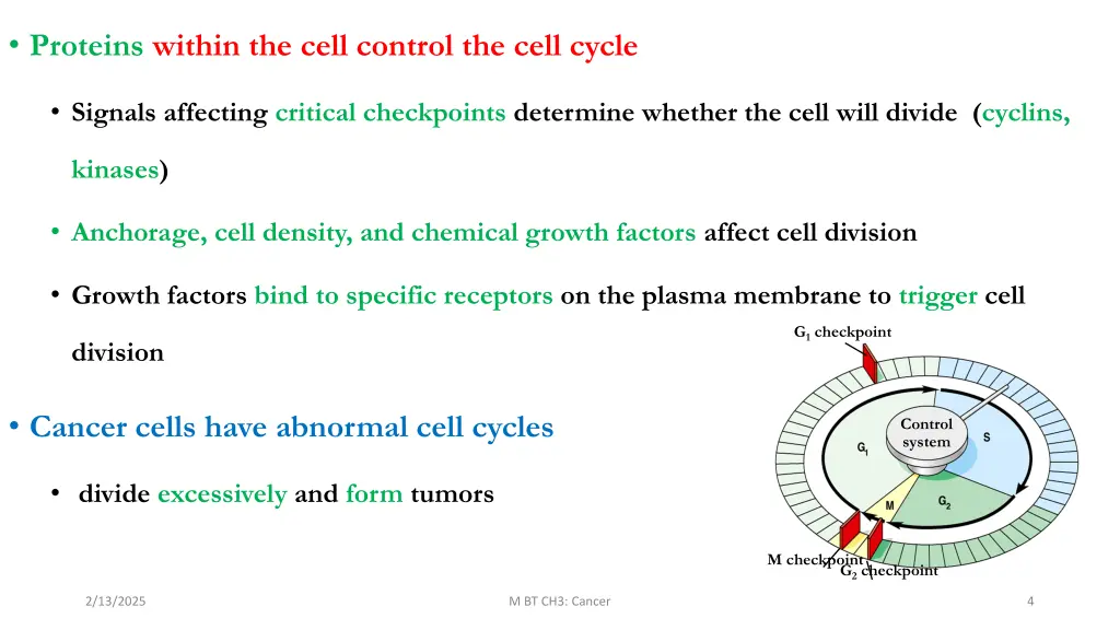 proteins within the cell control the cell cycle