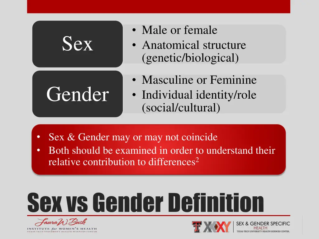 male or female anatomical structure genetic