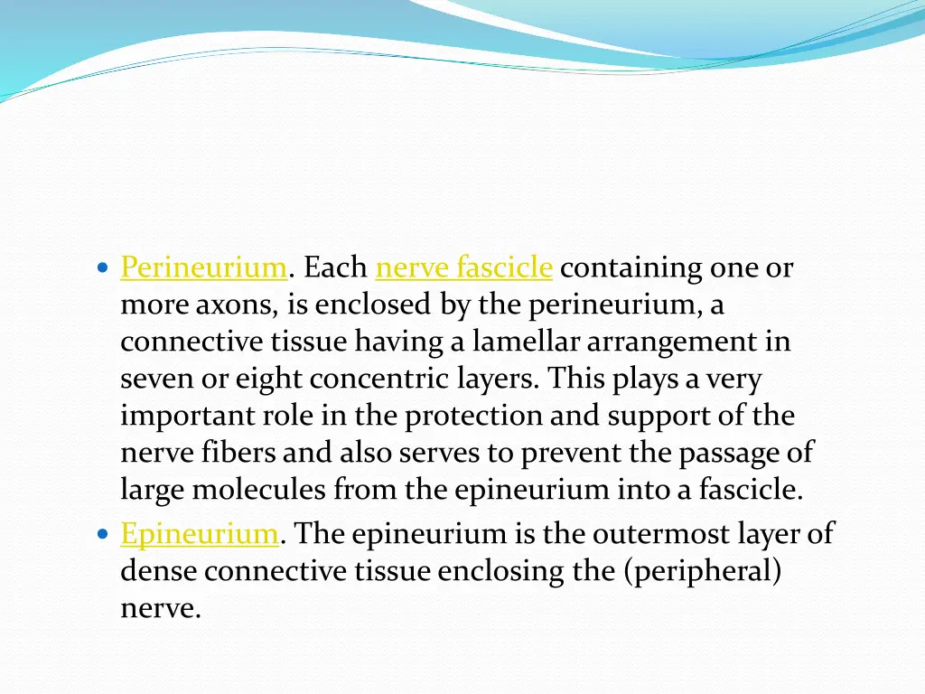 perineurium each nerve fascicle containing