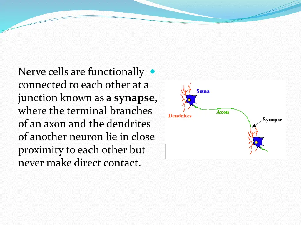 slide6