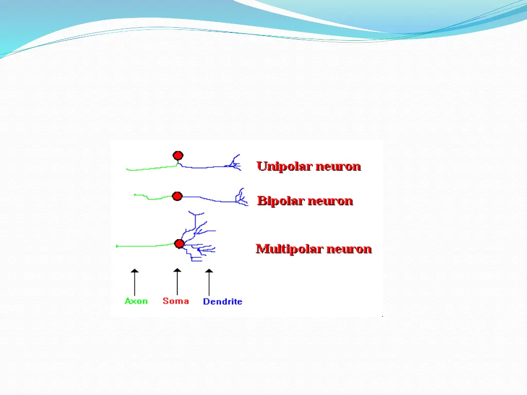 slide9