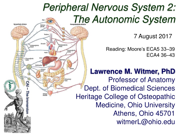peripheral nervous system 2 the autonomic system
