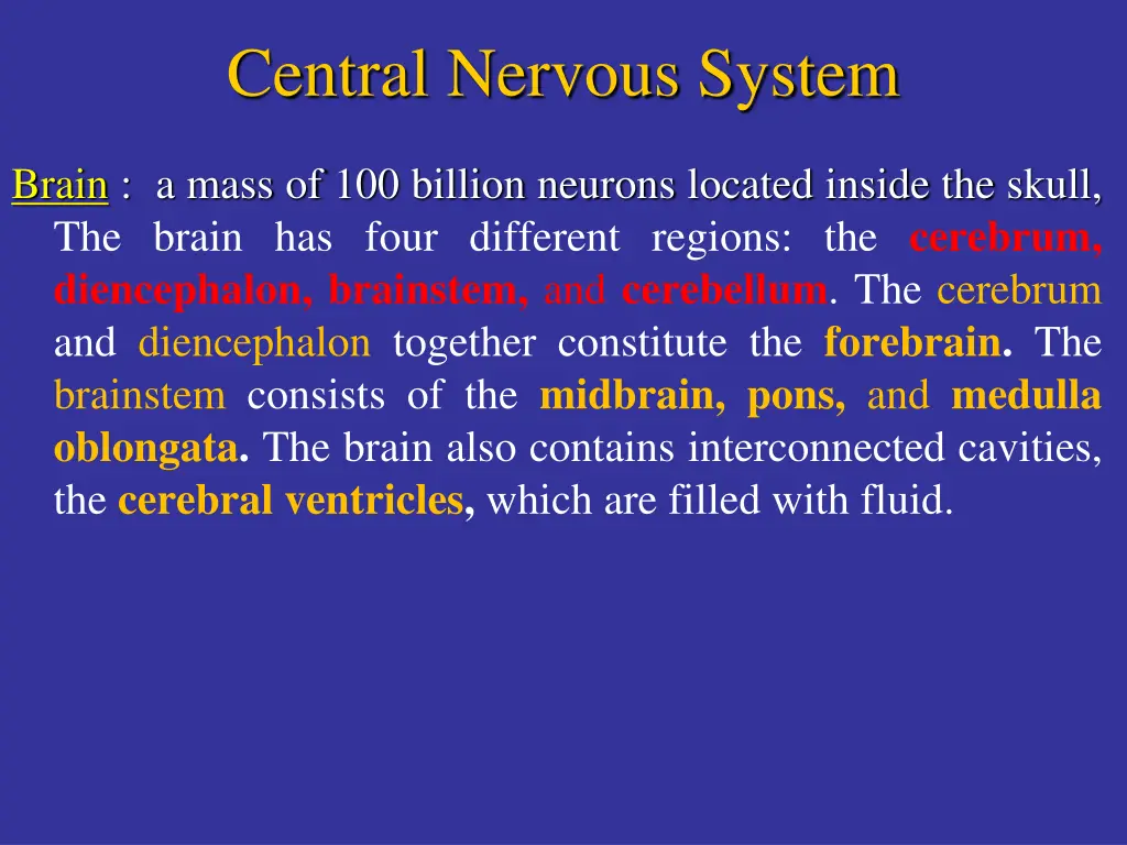 central nervous system