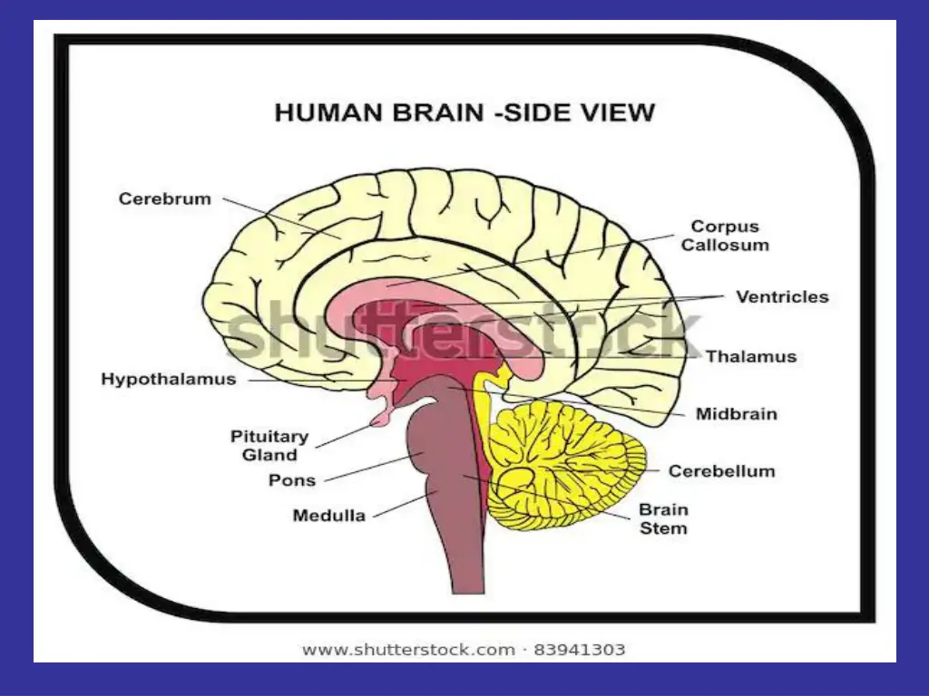 slide4