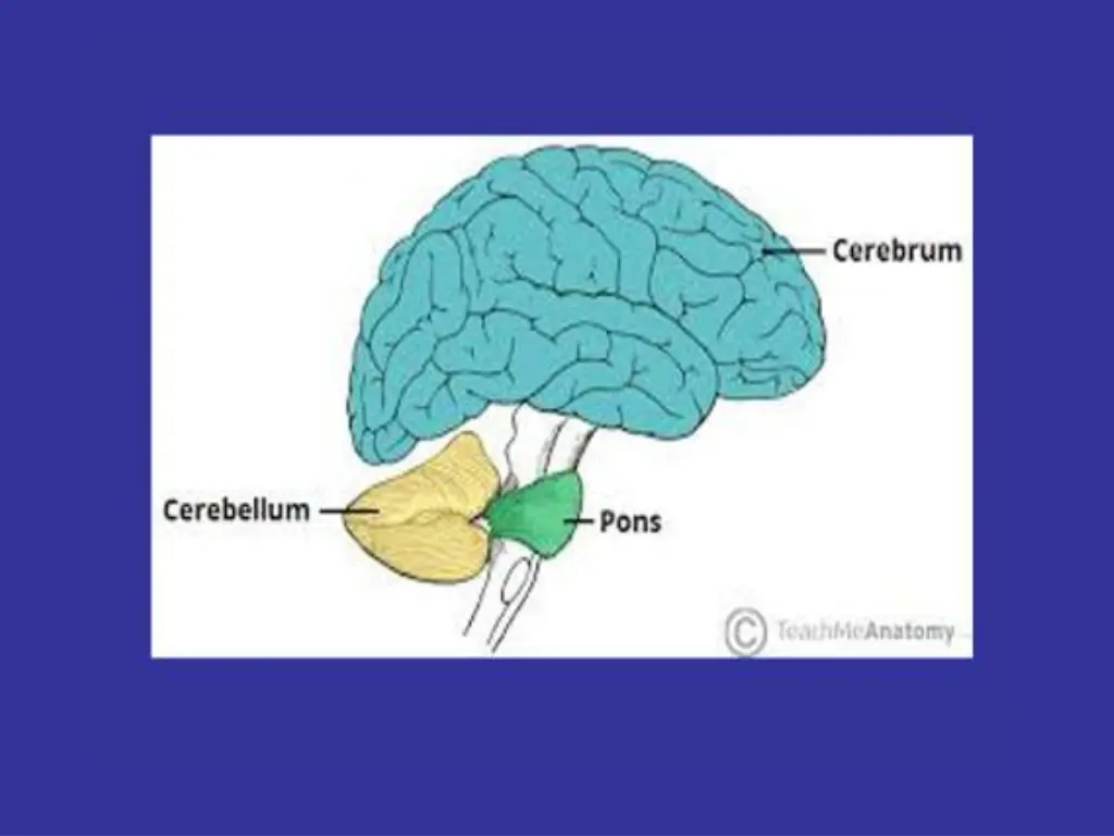 slide9