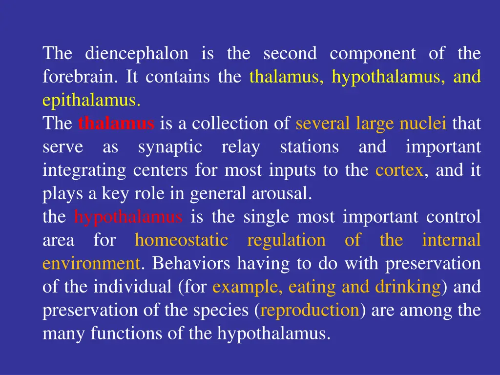 the diencephalon is the second component