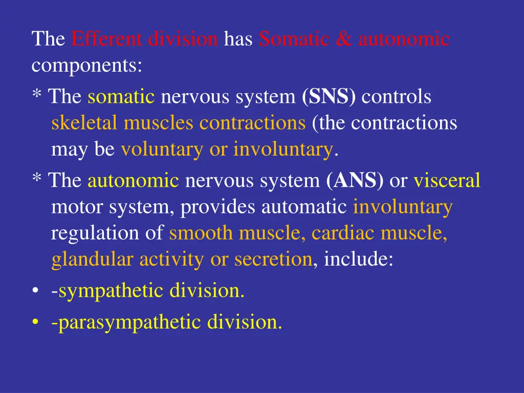 the efferent division has somatic autonomic