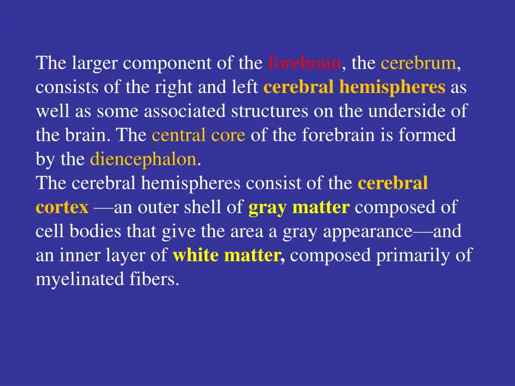 the larger component of the forebrain