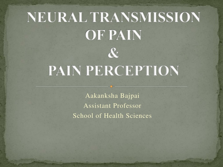 neural transmission of pain pain perception