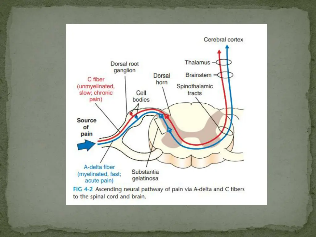 slide4
