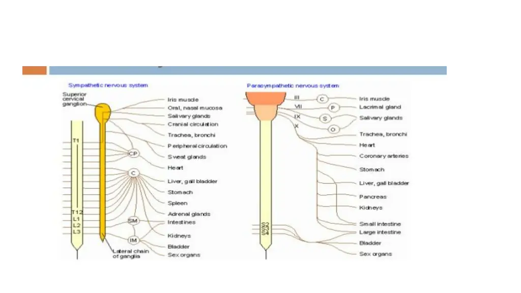 slide18