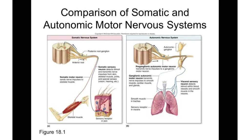 slide19