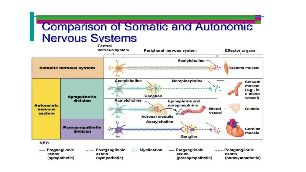 slide20