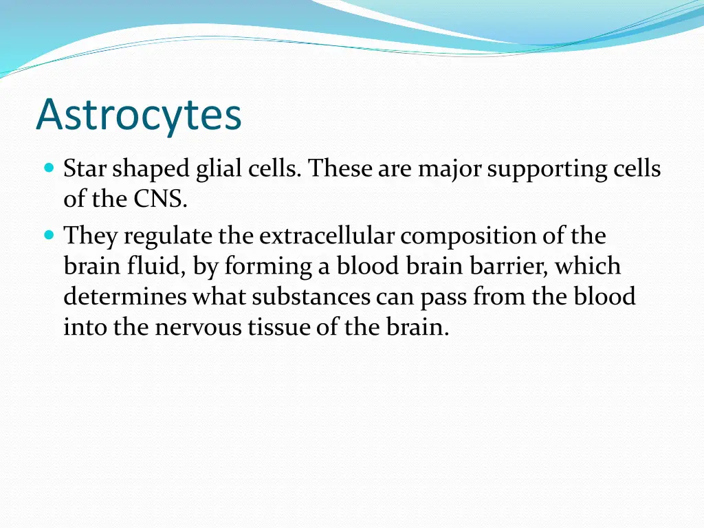 astrocytes