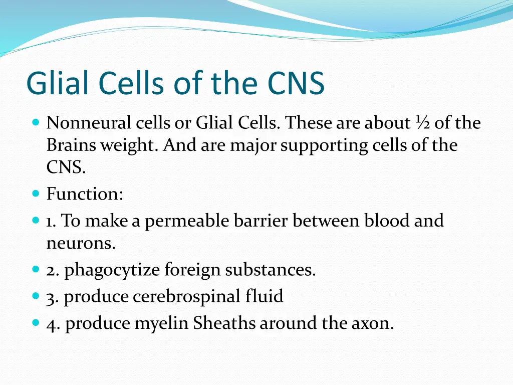 glial cells of the cns