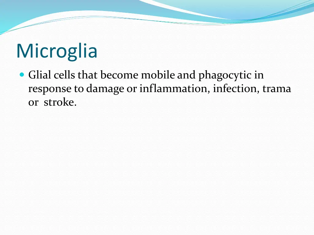 microglia