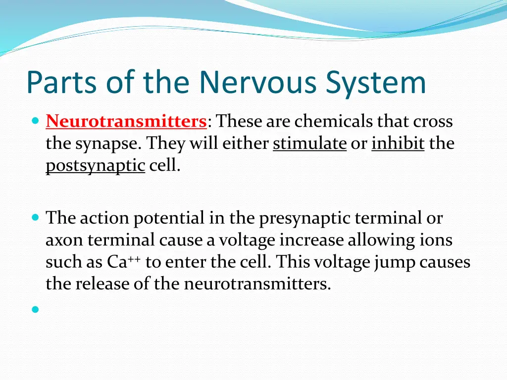 parts of the nervous system 7