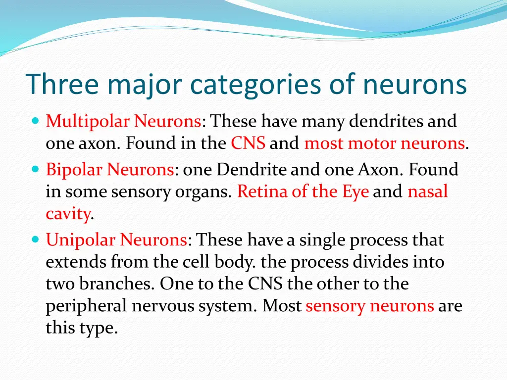 three major categories of neurons