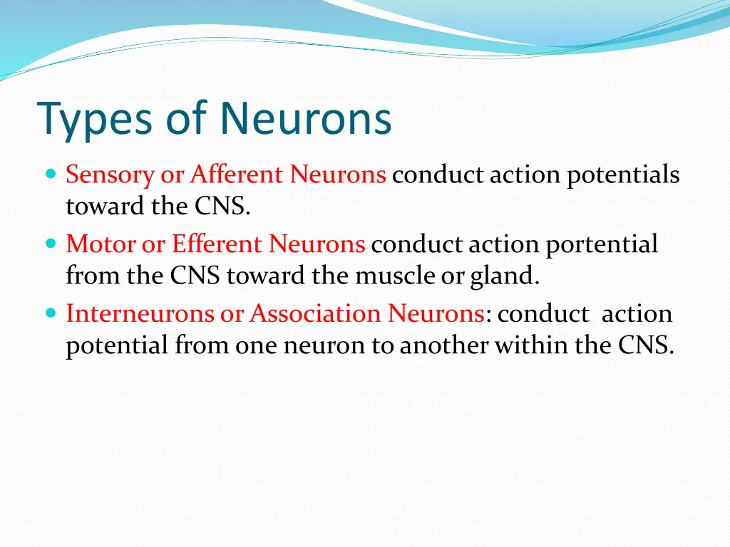 types of neurons