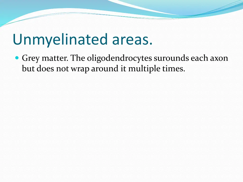 unmyelinated areas