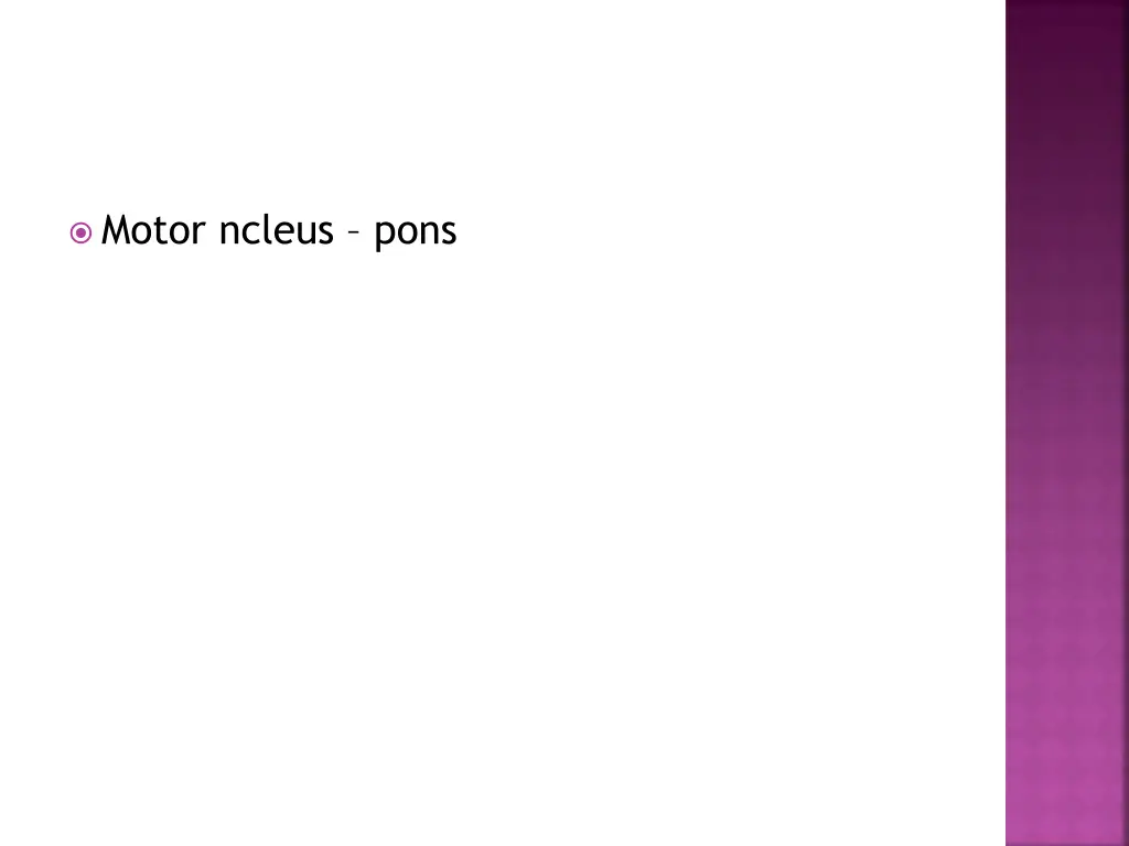 motor ncleus pons