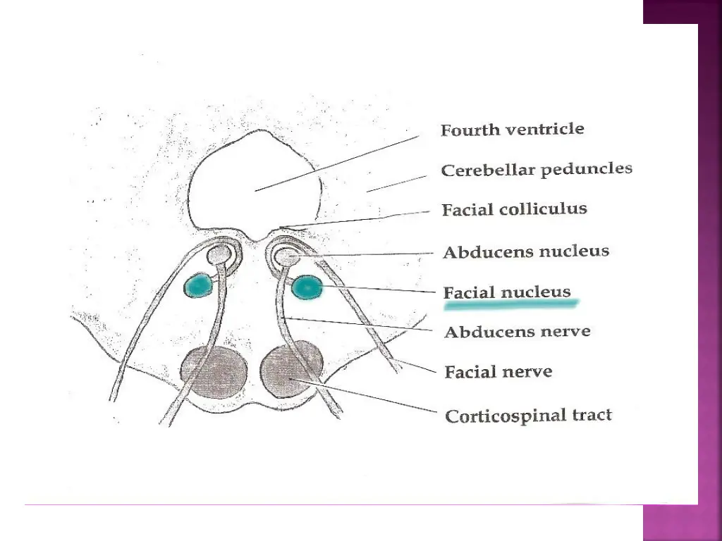 slide7