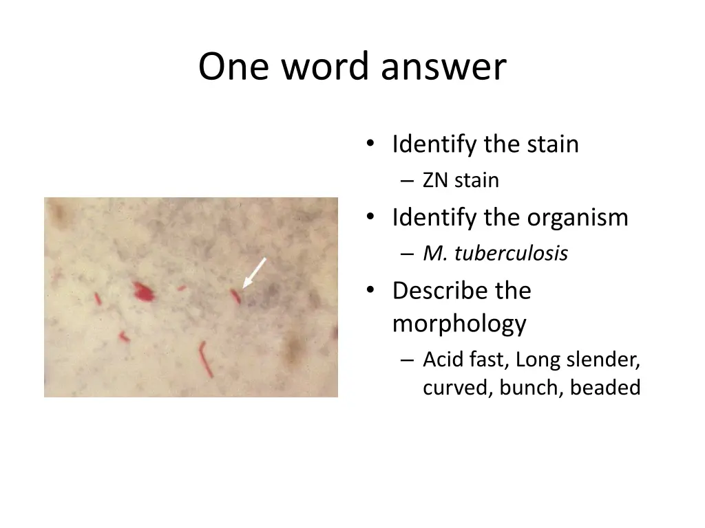 one word answer