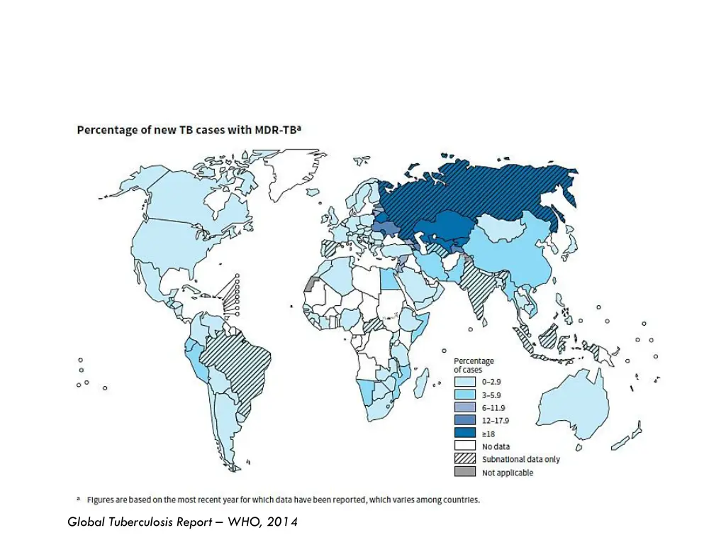 global tuberculosis report who 2014 1
