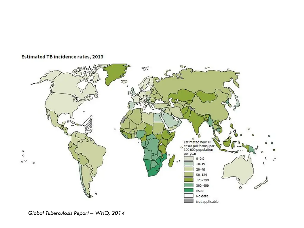 global tuberculosis report who 2014