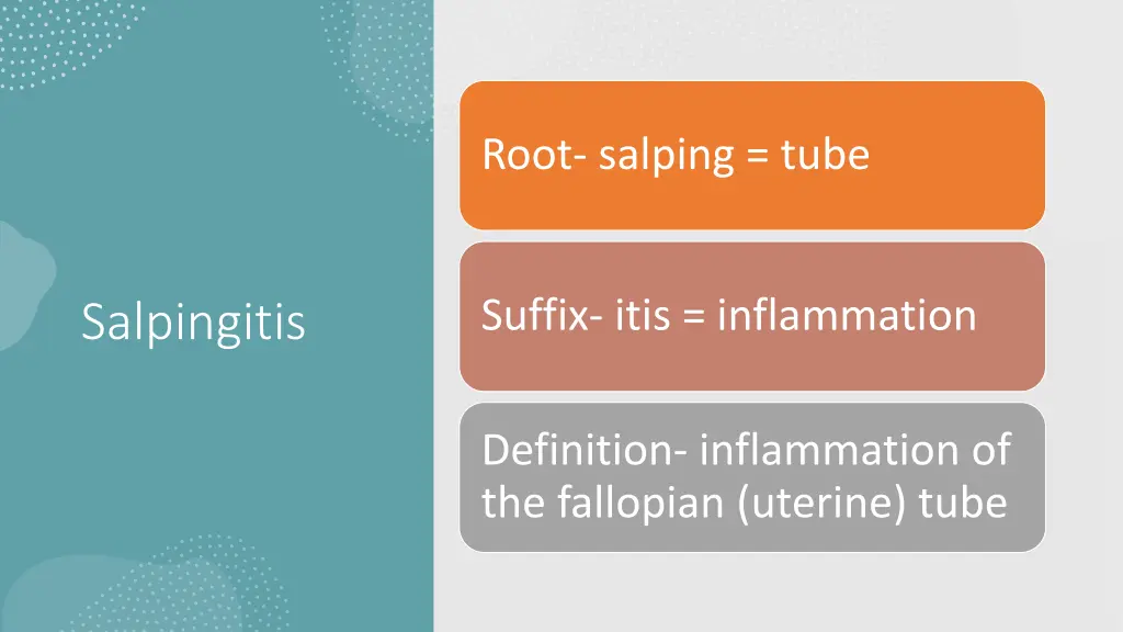 root salping tube