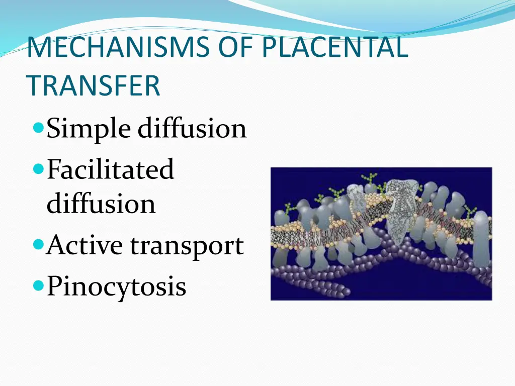 mechanisms of placental transfer simple diffusion