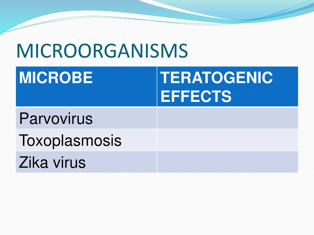 microorganisms microbe 1