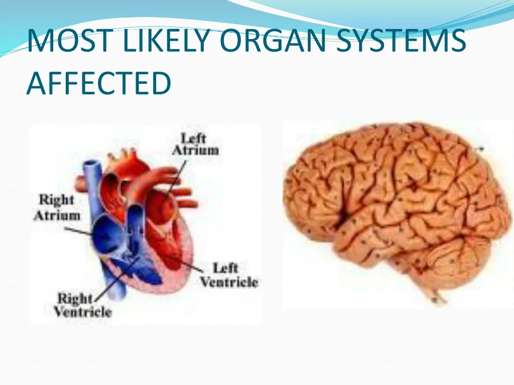 most likely organ systems affected