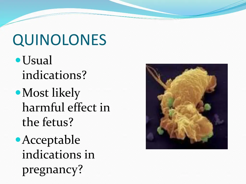 quinolones usual indications most likely harmful
