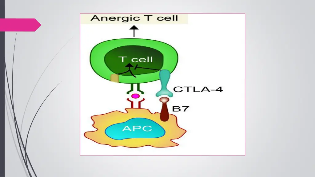 slide10