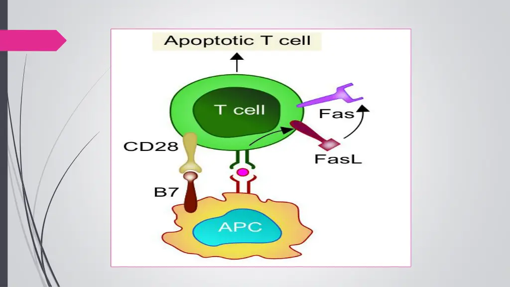 slide14