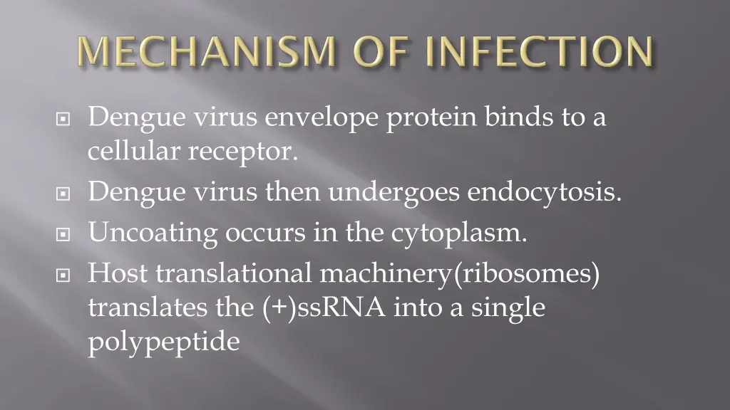 dengue virus envelope protein binds to a cellular