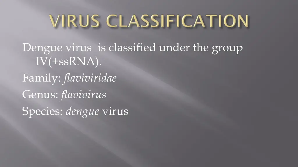 dengue virus is classified under the group