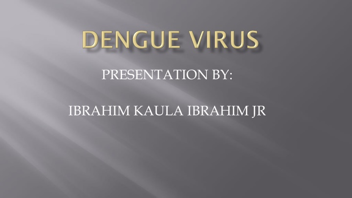presentation by