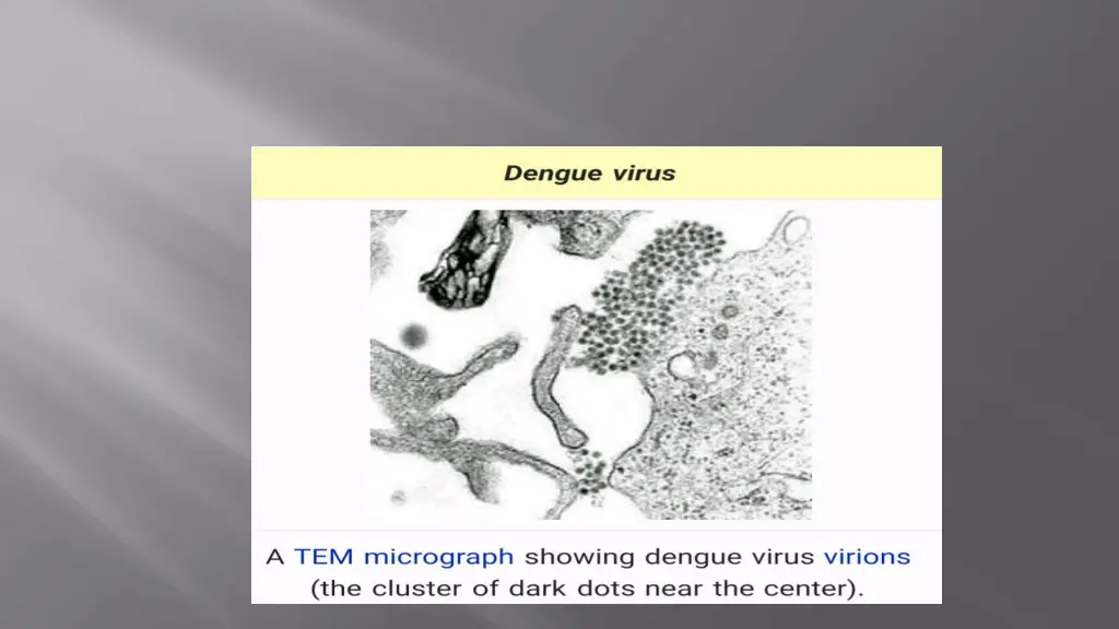 slide3