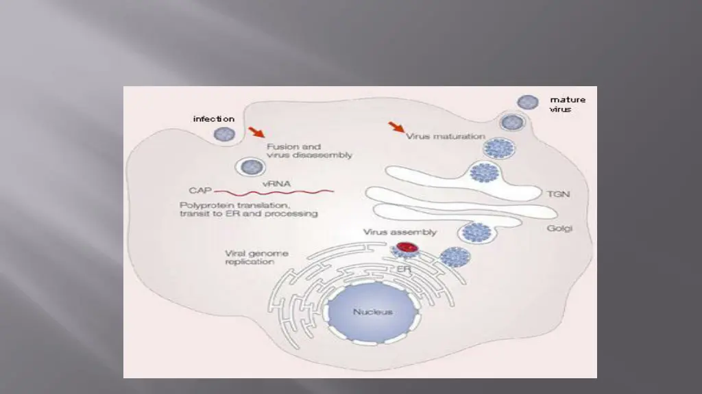 slide6