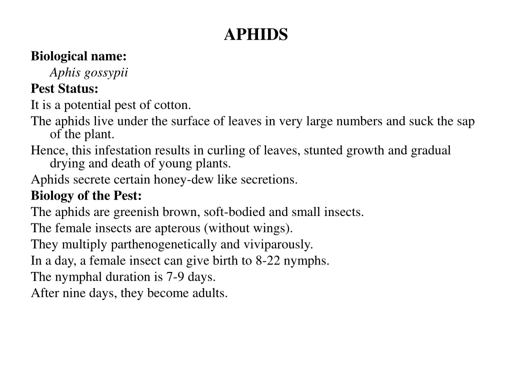 aphids