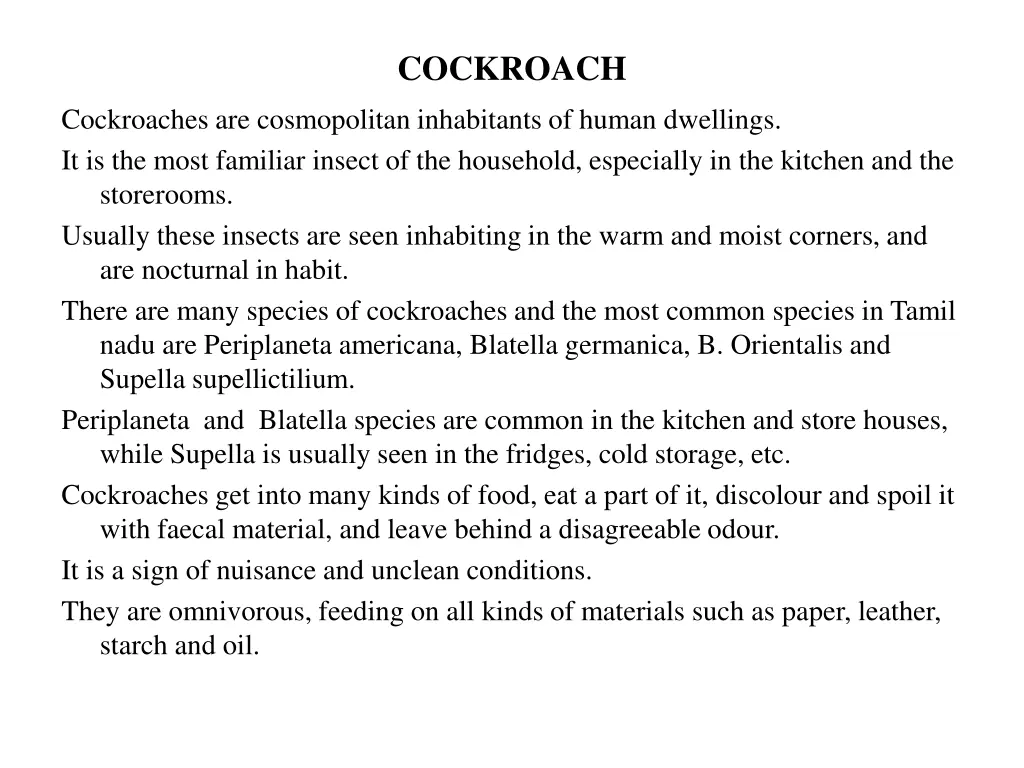 cockroach