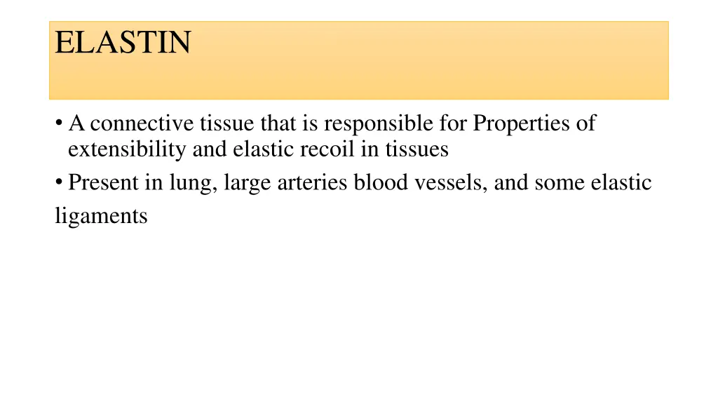 elastin